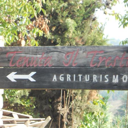 Tenuta Il Tresto Poggibonsi Εξωτερικό φωτογραφία
