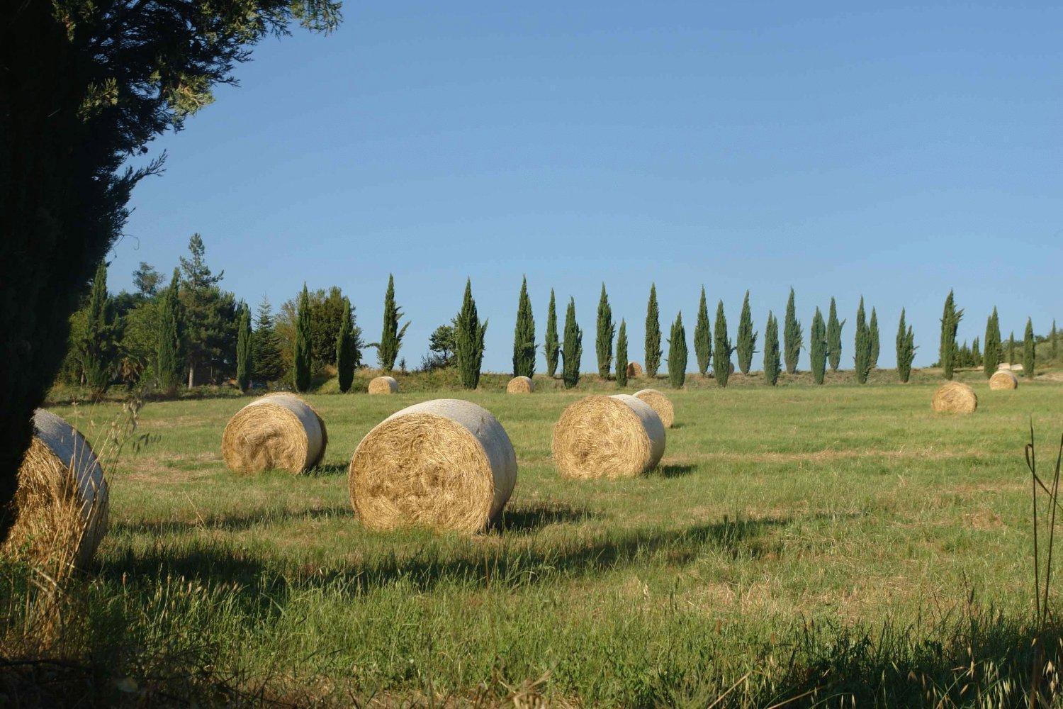 Tenuta Il Tresto Poggibonsi Εξωτερικό φωτογραφία