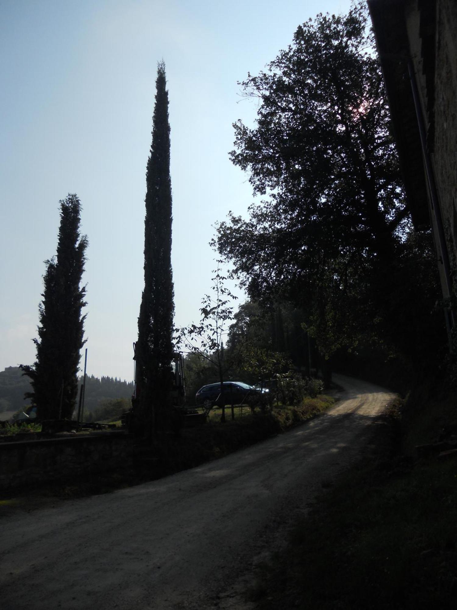 Tenuta Il Tresto Poggibonsi Εξωτερικό φωτογραφία