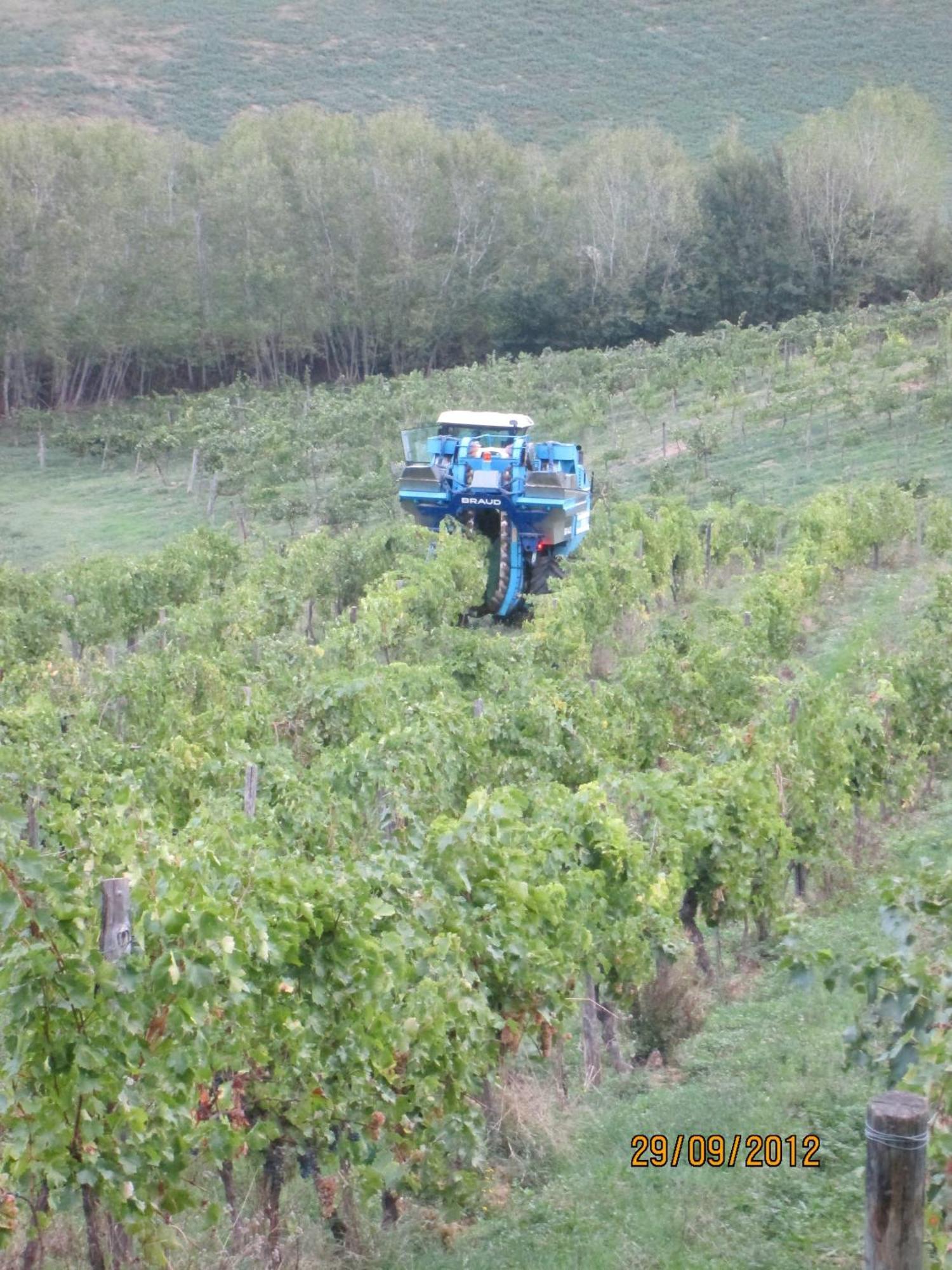Tenuta Il Tresto Poggibonsi Εξωτερικό φωτογραφία