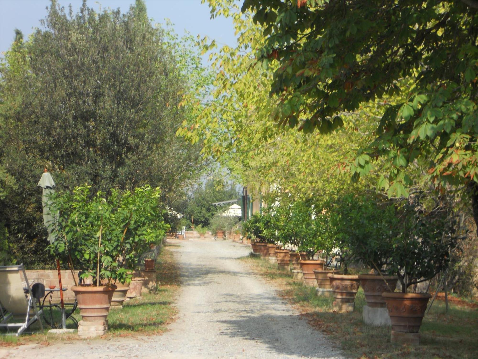 Tenuta Il Tresto Poggibonsi Εξωτερικό φωτογραφία