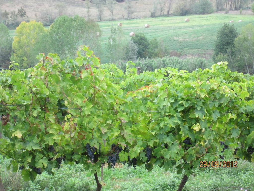 Tenuta Il Tresto Poggibonsi Εξωτερικό φωτογραφία
