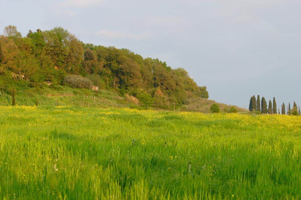 Tenuta Il Tresto Poggibonsi Εξωτερικό φωτογραφία