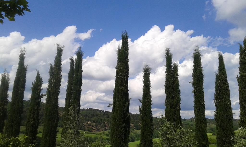 Tenuta Il Tresto Poggibonsi Εξωτερικό φωτογραφία